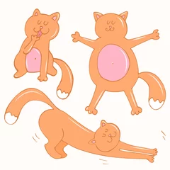 Papier Peint photo Singe Set of cute lazy ginger cats doing routine things