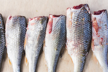 Fresh fish without a head
