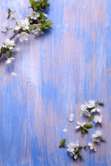 Spring Flowers on the blue background of an old vintage blue board