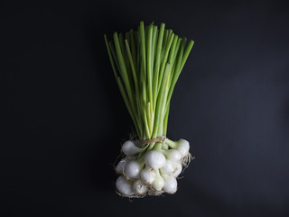 Fresh green and white spring onions with roots isolated on black background