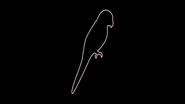 4K Neon parrot shape flickering on dark background