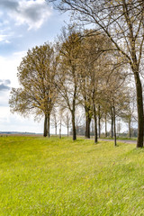 View along the Dutch dike