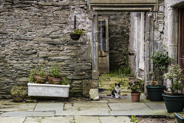 Stone Doorway With Cat