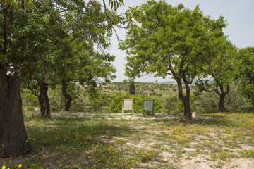 Villa con piscina e arredamento da esterno