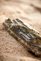 Piece of old wood in the sand