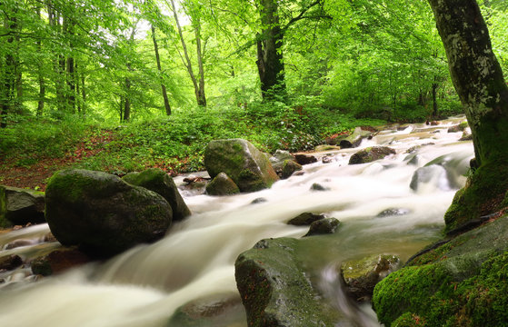 Mountain stream