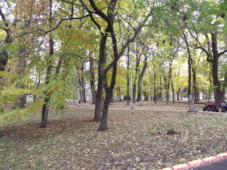 Naklejka premium The nature