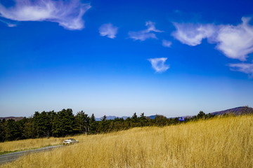 	飯田高原