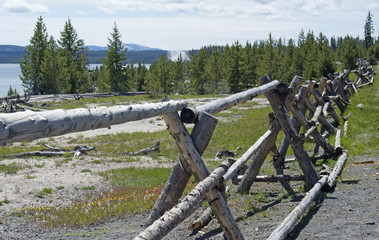 Buck'n'rail fence along Yellowstone Lake.