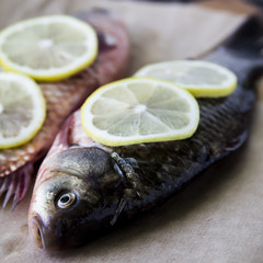 Raw fish with lemon on a cutting board. In the kitchen before cooking