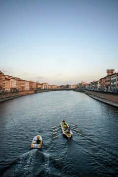 gozzo