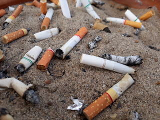 Cigarette butt in the pot, smoking.