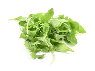 Layer organic arugula or rocket