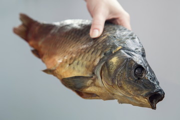 fish carp smoked salt