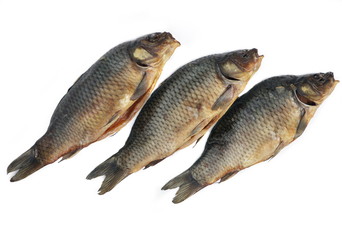 fish carp smoked salt