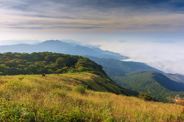 The view point on the top of mountain in Thailand winter and have a soft sea of fog at far away

