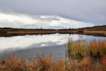 Wonder Lake Denali National Park