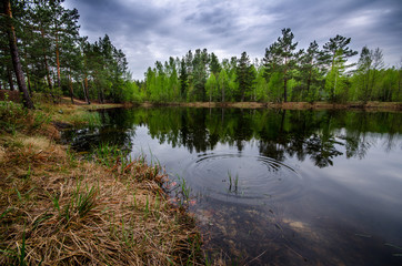 Fototapeta na wymiar forest landscape with river