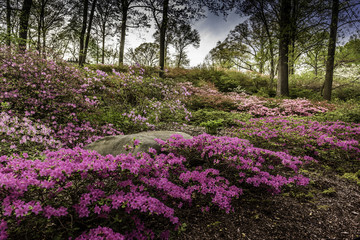 Botanical Garden