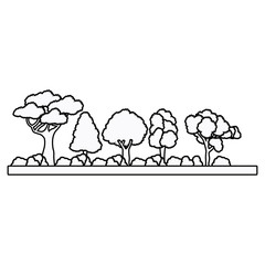 collection tree forest natural foliage outline vector illustration