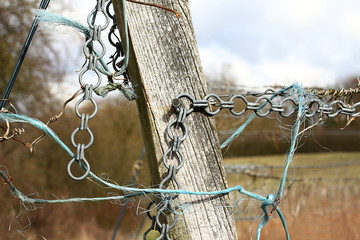 Kette und Draht an einem Pfosten als Rankhilfe für Weinreben