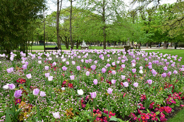 Tulipes au jardin du Luxembourg à Paris, France