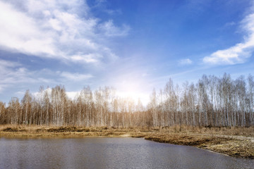 autumn or spring landscape