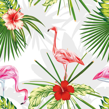 Composition exotic birds flamingos plants flowers light background