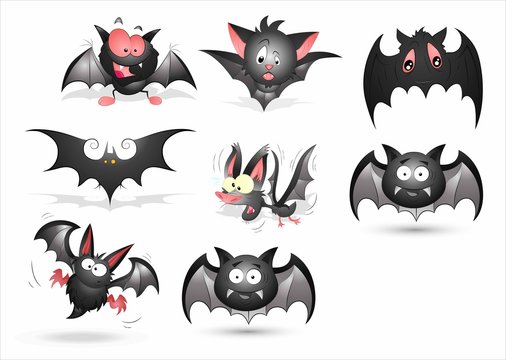 Bat of different forms