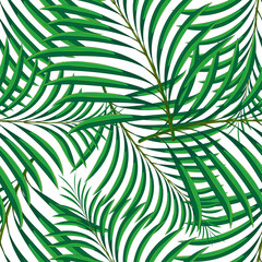 Vector seamless pattern of tropical palm leaves isolated on white background. Vector illustration in hand drawn cartoon style. Can be used for printing on textile or gift wrap and wallpapers.