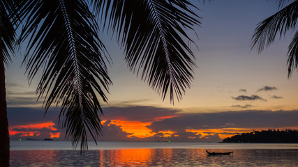 Obraz na płótnie Canvas The sun's rays passing through the palm branch. Tropical trees on the coast. Sunset time