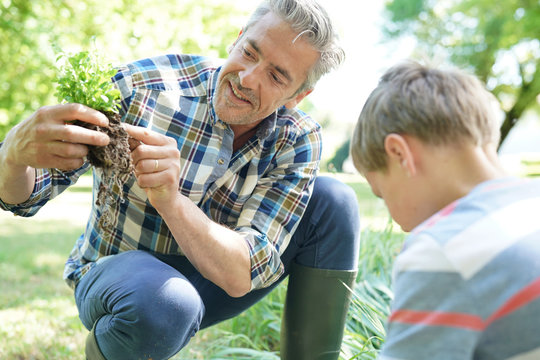 Father teaching son how to plant in vegetable garden