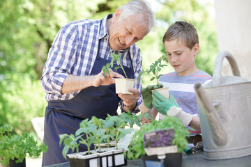 Grandfather with grandson gardening together