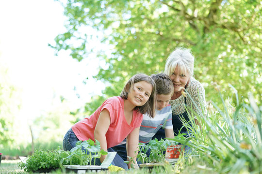 Elderly Woman Having Fun Gardening With Grandkids