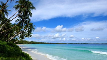 tropischer Traumstrand mit Sand, Palmen und strahlend blauem Meer