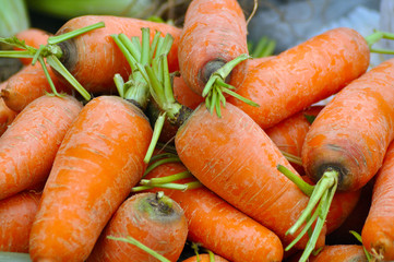 Bio organic carrots in the market