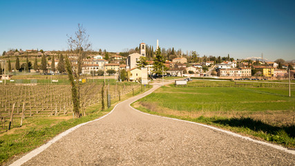 Fototapeta premium View of Custoza surrounded by the vineyards.