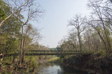 nature garden park field