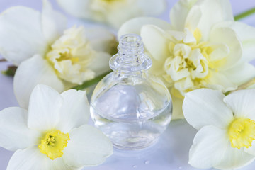 vial with essential oil and narcissus flowers on white background
