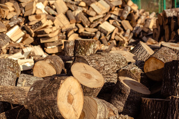 Birch log and billet