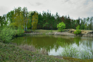 Fototapeta na wymiar Lake in the forest. Old quarry for the extraction of granite