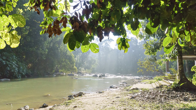 Viewing The River In The Johor National Parks, Malaysia