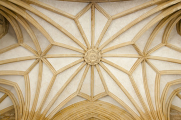Gothic Cathedral Ceiling - Brno - Czech Republic