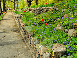 Ścieżka w parku, tulipany i murek z kamienia.