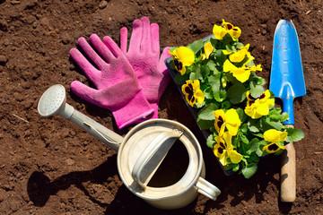 gardening tools and flowers on soil background