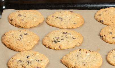 Home Baked Oatmeal Cookies With White Chocolate And Cranberries.