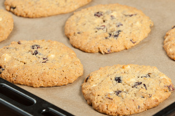Home Baked Oatmeal Cookies With White Chocolate And Cranberries.