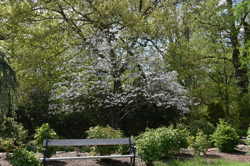 Elizabeth Pzrk in May, Hartford, connecticut, 5/6/2017