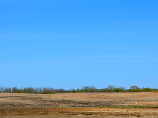 Fototapeta na wymiar Plowed field against the blue sky, beautiful spring landscape 