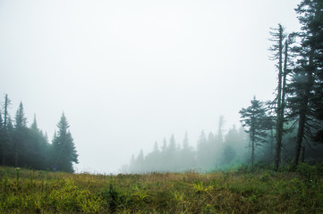 Hiking on a foggy day in Mont Tremblant National Park - Stock image